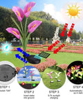 Diagram showing Three Pack Solar Garden Stake Lights With Realistic Calla Lily Flowers in a garden, highlighting installation and charging steps.