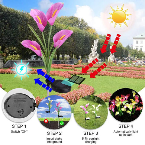 Diagram showing Three Pack Solar Garden Stake Lights With Realistic Calla Lily Flowers in a garden, highlighting installation and charging steps.