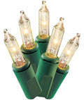 Close-up of Clear Mini Christmas Lights 100 LEDs on green wire, Indoor Outdoor, 2 Pack, showing clear bulbs and green sockets.