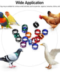 Multi Color Aluminum Pigeon Leg Bands Set Of 50 Open Ring Foot Rings For Birds 4 To 8mm Identification With Laser Etched Numbers