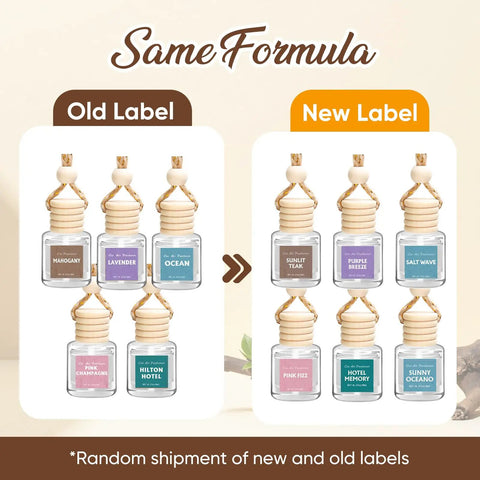 Fresh Ride Vibes Long Lasting Car Air Freshener Hanging Essential Oil Diffuser 6 Pack Wood Cap Scent Strips new and old labels