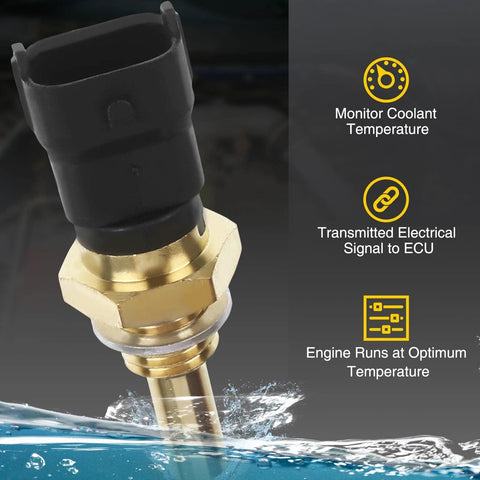Close-up view of brass engine coolant temperature sensor with black plastic connector.