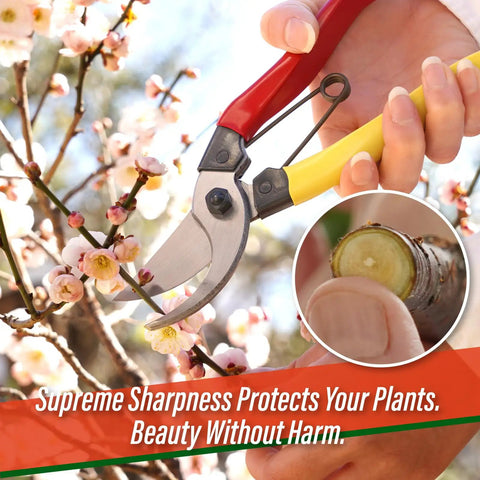 Person using 8 inch bypass pruning shears on flower branch, ergonomic grip, rugged steel blade. Bypass Pruning Shears 8 Inch For Garden Use.