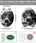 Toilet Seat Cover Elongated White Resin Bathroom Decor with measurements and pet dog image for size guidance.