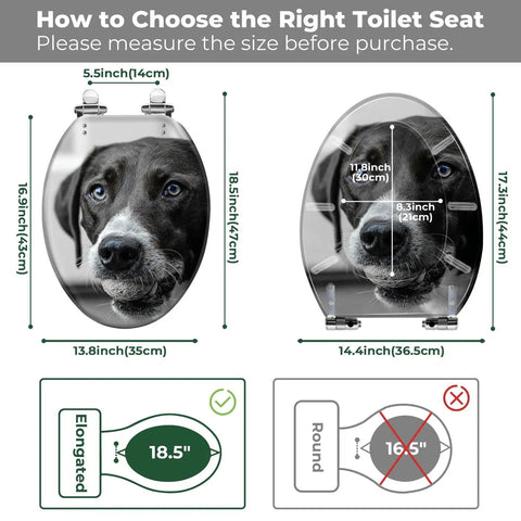 Toilet Seat Cover Elongated White Resin Bathroom Decor with measurements and pet dog image for size guidance.