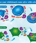 Magnetic Animal And Plant Cell Models Set With 24 Piece Hands On Educational Science Kit illustrating cell structures
