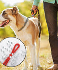 Dog on leash with inset of 20 Pack Heavy Duty Stainless Steel Rope Clamps, Double Clip Set For Three Eighths To One Half Inch Ropes