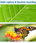 Recordable Kids Digital Microscope With 2.4 Inch IPS Screen capturing leaf and butterfly images, highlighting camera and video features