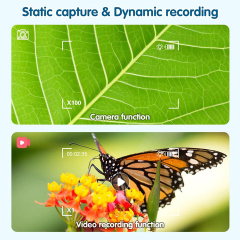 Recordable Kids Digital Microscope With 2.4 Inch IPS Screen capturing leaf and butterfly images, highlighting camera and video features