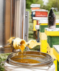Stainless Steel Honey Strainer With Double Sieve For Beekeeping Gear filtering honey into bucket, mesh filter screen visible.