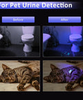 Before and after images showing effectiveness of 395 Nm UV Scuba Dive Light With Power Indicator Waterproof Black Light Flashlight for detecting pet urine
