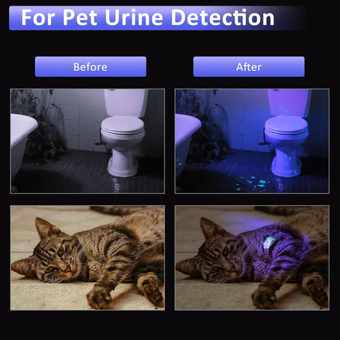 Before and after images showing effectiveness of 395 Nm UV Scuba Dive Light With Power Indicator Waterproof Black Light Flashlight for detecting pet urine