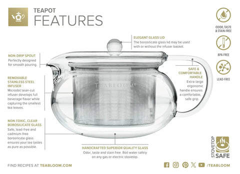 Kyoto 2-In-1 Tea Kettle And Tea Maker Glass Teapot with removable loose-leaf infuser, 24 oz borosilicate glass, side view.