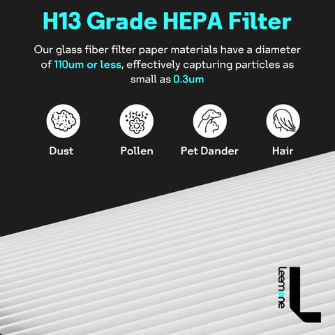 Diagram showing H13 grade HEPA filter capturing dust, pollen, pet dander, and hair with a focus on 110um diameter particles.