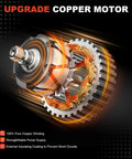 Internal view of a motor with pure copper windings for Beefed Up High Output 12V 150A CW Pulley Alternator Replacement.