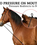 Horse wearing Elastic Horse Training Reins For Lunging And Groundwork Adjustable Neck Stretcher with no mouth pressure