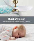 36 Inch White Gold Modern Ceiling Fan With Light And Remote, Quiet DC Motor, 3 Blade Design over sleeping baby