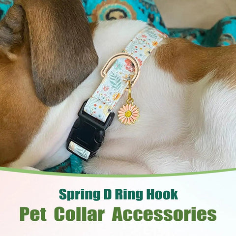 Dog wearing floral collar with spring D ring hook, pet collar accessory, 10 Pack Small D Ring Carabiner Clips Set usage.