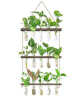Your Go To Wall Hanging Propagation Station With Wooden Stand, Five Glass Test Tubes And Three Tier Planters showcasing plants