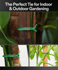 164 Ft PE Coated Green Plant Ties With Cutter used for plant support in indoor and outdoor gardening setup