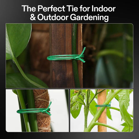 164 Ft PE Coated Green Plant Ties With Cutter used for plant support in indoor and outdoor gardening setup