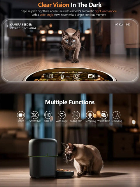 Smart Automatic Cat Feeder with 1080P HD Camera, infrared night vision, and cat eating dry kibble in low light.