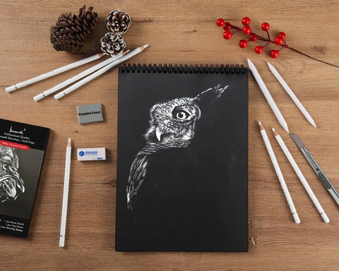 White Charcoal Pencils Set 12 Piece For Dark Paper Drawing And Sketching Includes 6 White Pencils Eraser Pencil Art Knife Vinyl Eraser Kneaded Eraser And 2 Blending Stumps For Shading And Blending For Pros And Newbies with owl drawing on black paper