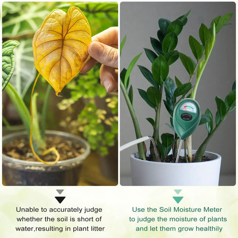 4 Pack Long 15.8 Inch Soil Moisture Meters With Deep Probes showing usage on indoor plants for accurate moisture reading