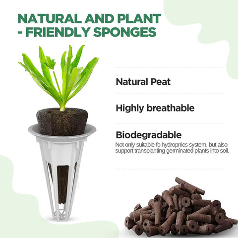 Close-up of hydroponic grow sponges with seedling from 200 Pcs Seed Pod Kit With Replacement Grow Sponges And Stickers.