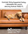 Dog lying on a restored leather sofa using Leather And Vinyl Recoloring Balm In Pure Black For Sofas Chairs And Car Seats Restores Faded Worn And Peeling Surfaces With A Simple All In One Coloring Solution The Go To Way To Get Crisp Long Lasting Color.