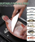 Four Piece Stainless Steel Fish Scaler Set With Serrated Blade Design in use on red fish with descaled skin on plate.