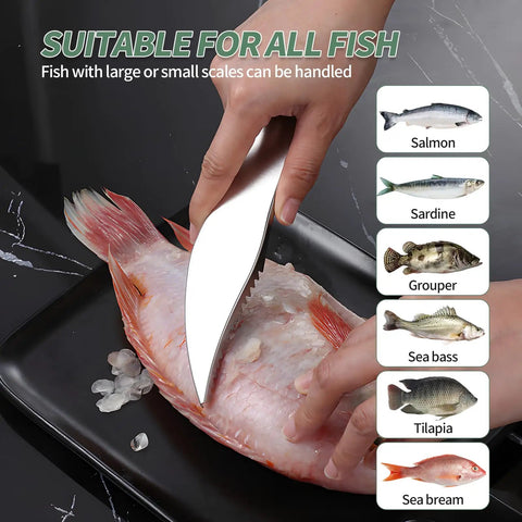 Four Piece Stainless Steel Fish Scaler Set With Serrated Blade Design in use on red fish with descaled skin on plate.