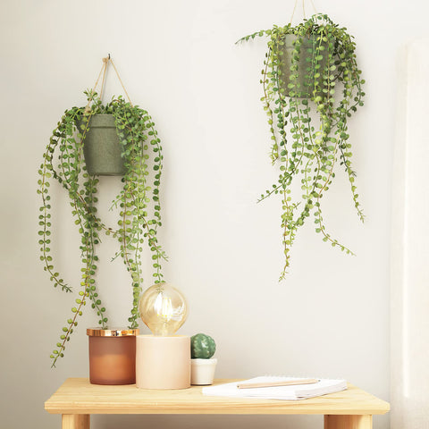 Hanging green plants beside a light bulb in a jar on a wooden table, beige wall background