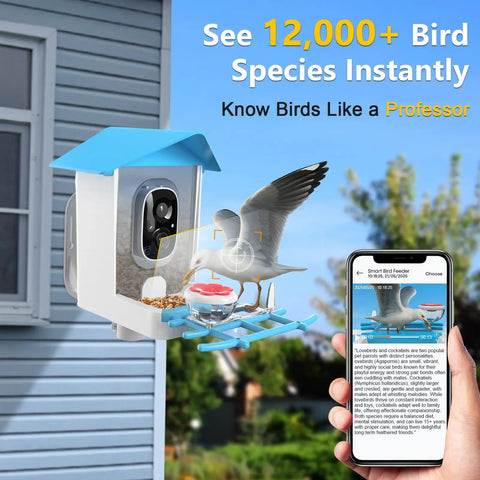 Solar Powered Bird Feeder With Camera For Backyard Watching 2K HD Live Streaming AI Species Recognition Motion Alerts