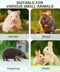 Image showcasing small animals suitable for Rock Solid Lab Mouse Cage For Rat Breeding With Bulletproof Wire Lid.