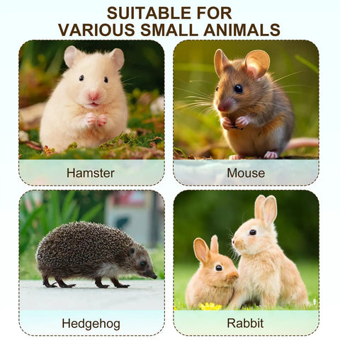 Image showcasing small animals suitable for Rock Solid Lab Mouse Cage For Rat Breeding With Bulletproof Wire Lid.