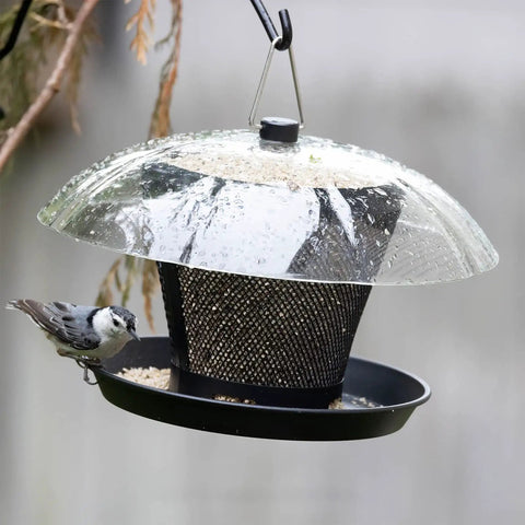 Outdoor Bird Feeder Dual Use Metal Mesh With Weatherproof Dome 2.5 Pound Seed Capacity For Finches And Cardinals Keeps Seeds Dry