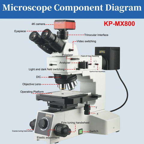 Pro Grade Light And Dark Field Electron Metallographic Microscope With 4K HD Measurement Camera For Direct Computer Or Monitor Connection Via HDMI USB 3 And LAN For Quick Setup And Precise High Resolution Imaging Plug And Play Ready, labeled diagram