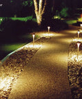 Pathway illuminated with MR16 LED Bulbs 7W GU5.3 Easy Install Replacement For 50W 60W 70W 75W Halogen, 2700K Warm White, 12V outdoors