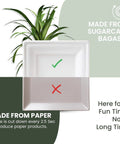 Square 10 Inch Compostable Plates, Heavy Duty Disposable Dinnerware, Sugarcane Biodegradable Party Plates For Hot Or Cold Meals, Microwave And Freezer Safe Catering Grade, 125 Pack made from sugarcane bagasse