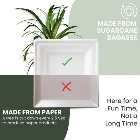 Square 10 Inch Compostable Plates, Heavy Duty Disposable Dinnerware, Sugarcane Biodegradable Party Plates For Hot Or Cold Meals, Microwave And Freezer Safe Catering Grade, 125 Pack made from sugarcane bagasse