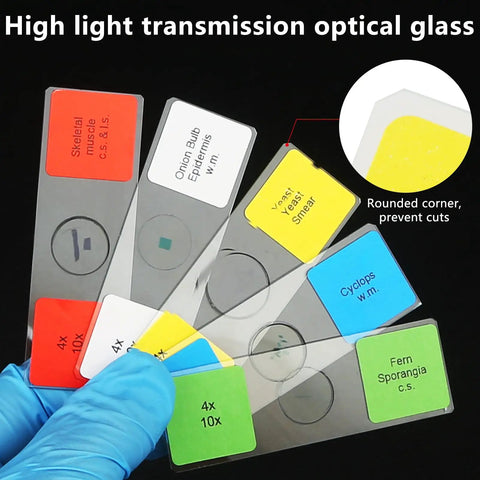 60 Lab Grade Prepared Microscope Slides With Animal Plant Microbe Tissue Specimens For Homeschool And Classroom STEM Biology Kit Hands On Science Education For Kids shown in a gloved hand with slide labels