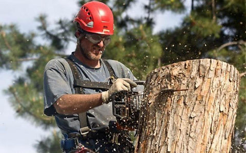 Arborist wearing Steel Mesh Anti Fog Safety Goggles 30 Mesh Eye Protection for chainsaw work, cutting a tree, debris shield visible