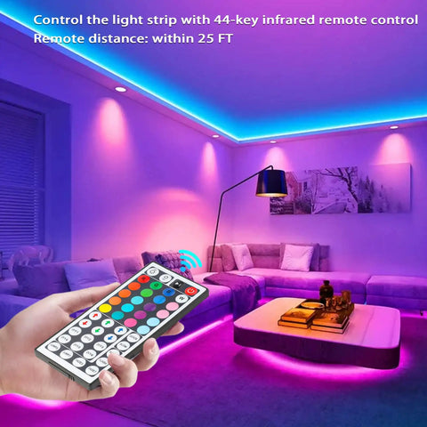 Hand holding Two Pack 44 Key RGB LED Strip Remote Controller Wireless Dimmer IR Replacement For SMD 5050 3528 2835 RGB Light Strips