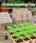 12 Hole Seedling Tray with green plants, made from pulp material, biodegradable, emphasizing air permeability, stacked in garden.