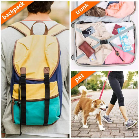 Collage of a backpack with 1 inch black plastic quick release parachute buckles, a packed trunk, and a person walking a dog.