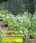 Heavy Duty One Quarter Inch Hardware Cloth Roll 24 By 100 Feet 23 Gauge Hot Dip Galvanized After Welding Welded Wire Mesh Fence For Chicken Coop Run Galvanized Chicken Wire Fence Tough As Nails And Rust Resistant showing fence in garden with flowers and text reviews.