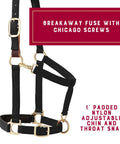 Super Comfy Padded Breakaway Horse Halter With Adjustable Chin And Throat Snap featuring Chicago screws detail