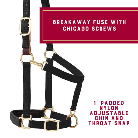 Super Comfy Padded Breakaway Horse Halter With Adjustable Chin And Throat Snap featuring Chicago screws detail
