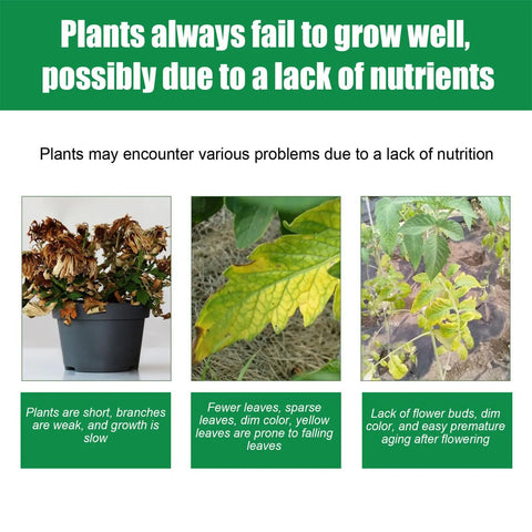 Images of plants with nutrient deficiency issues, showing symptoms like weak branches, yellowing leaves, and lack of flowers with Planting Brick Compressed Fiber Reusable Mulch For Transplanting And Hydroponics, Potting Mix Blocks For Indoor Outdoor Plants, Flowers, And Pathways, Great For Backyard Farms And Patio Gardens, Delivers Superior Drainage, Aeration, And Moisture Control.
